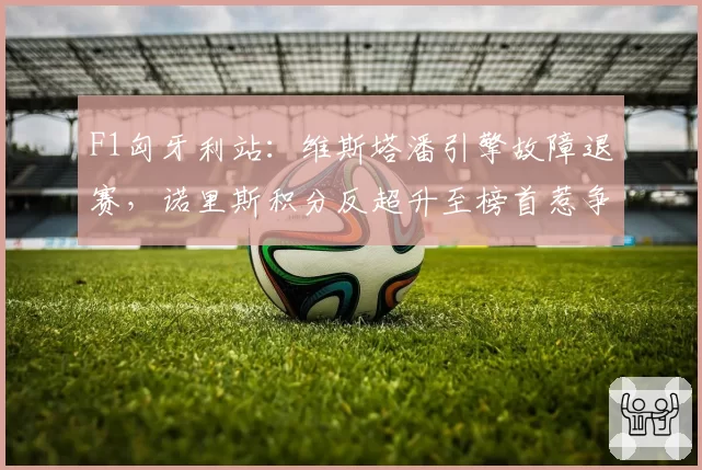F1匈牙利站:维斯塔潘引擎故障退赛,诺里斯积分反超升至榜首惹争议